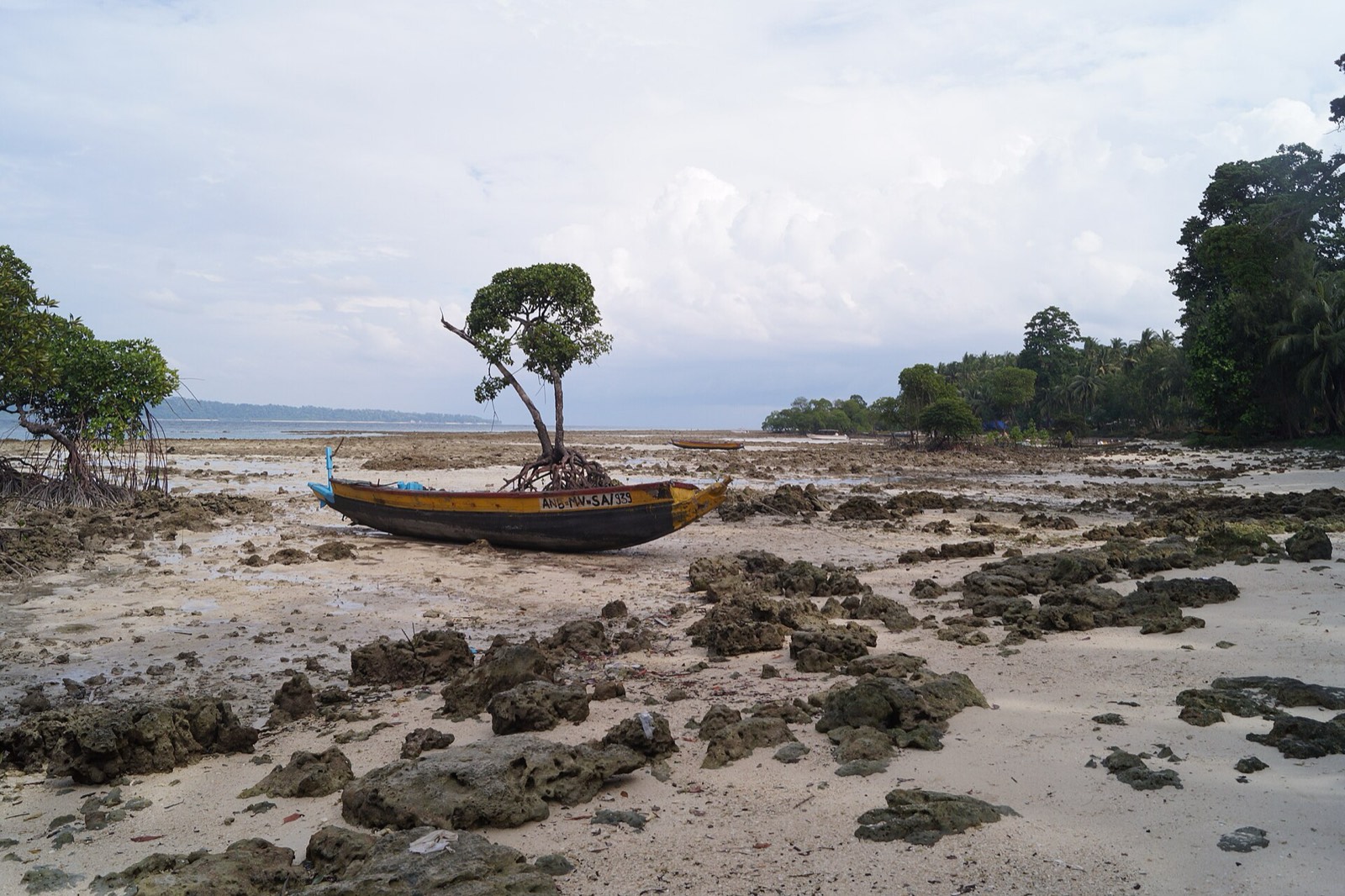 Radhanagar Beach, Andaman