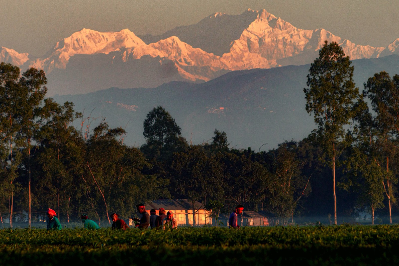 Kanchenjunga range